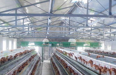 雞場喂料機(jī)